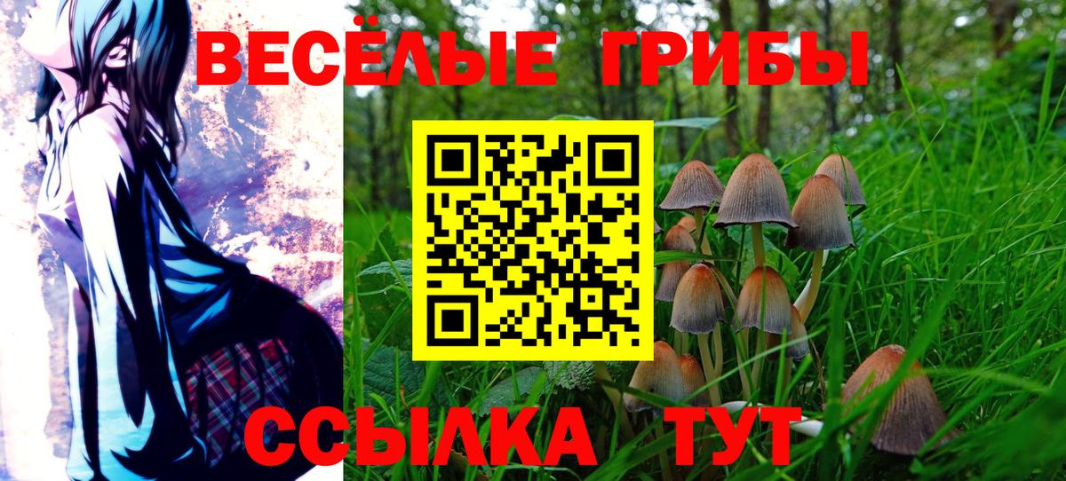 Жуковский  Псилоцибиновые грибы MAGIC MUSHROOMS  Вход с VPN 
