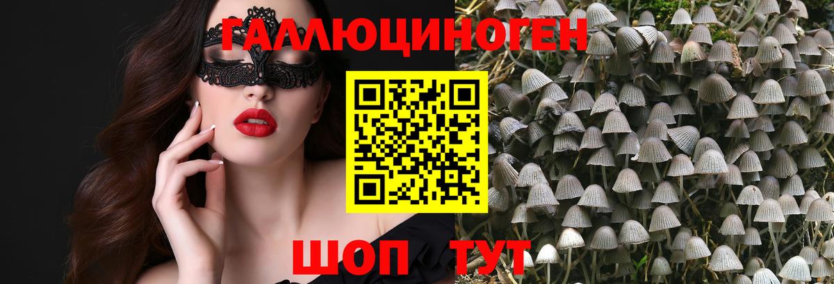 Галлюциногенные грибы Psilocybe Жуковский